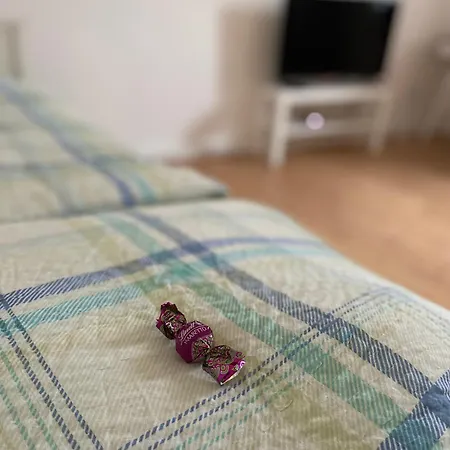 Apartament Direkt Am Goldberg In